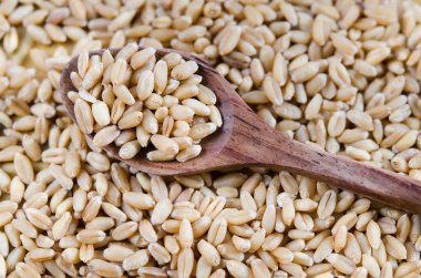 buğday ve tahta kaşık