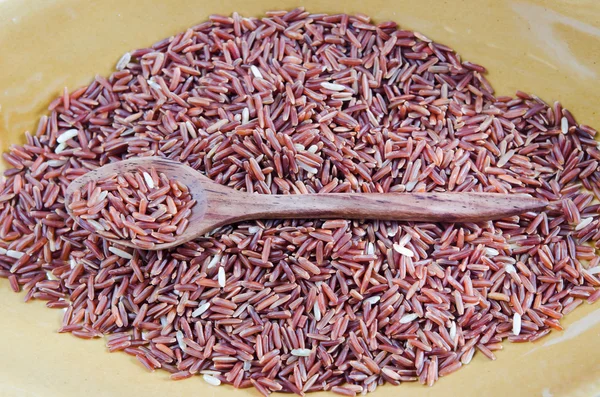Granos de arroz rojo —  Fotos de Stock