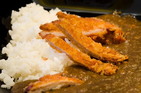 Katsu Kare — Foto de Stock