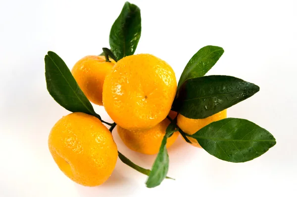 Färska orange — Stockfoto