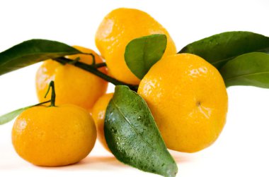 Olgunlaşmış meyve