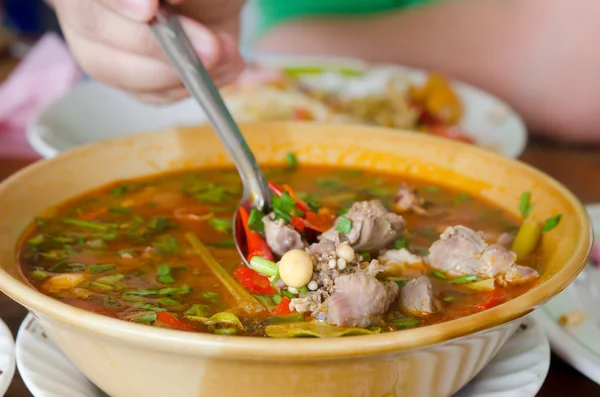 Spicy soup — Stock Photo, Image