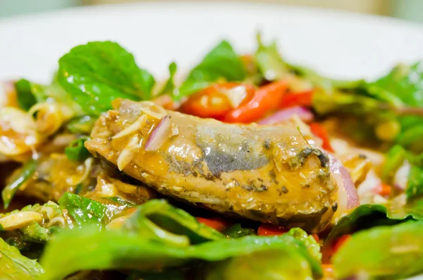 Baharatlı konserve balık salatası