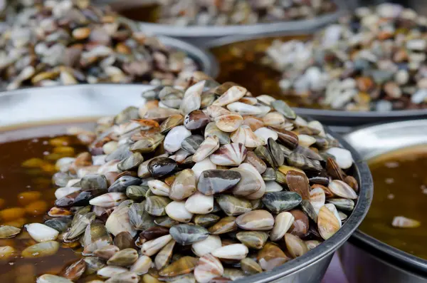 Preserved Razor clam — Stock Photo, Image