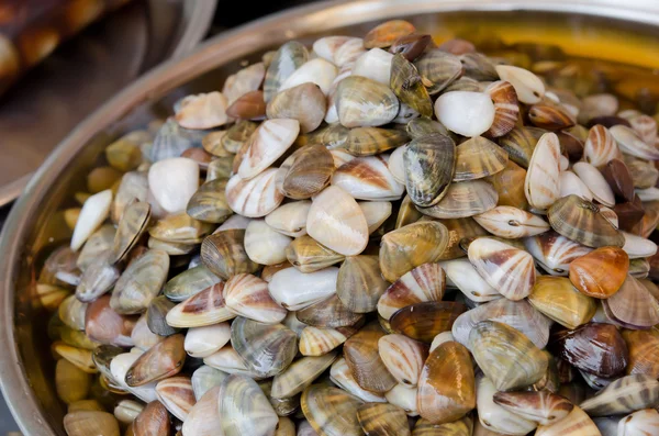 Zeevruchten in markt — Stockfoto