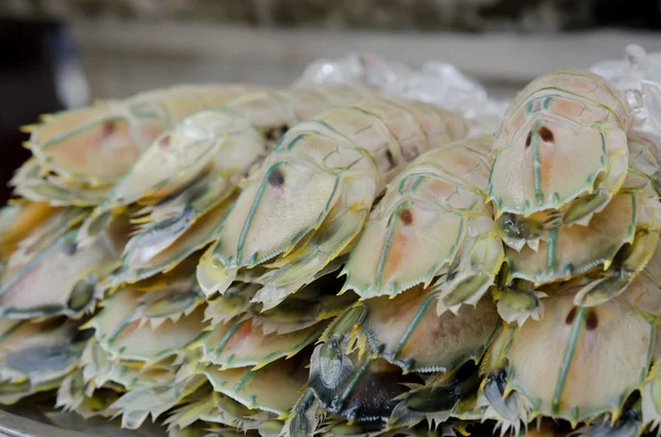 Frutos do mar crus — Fotografia de Stock