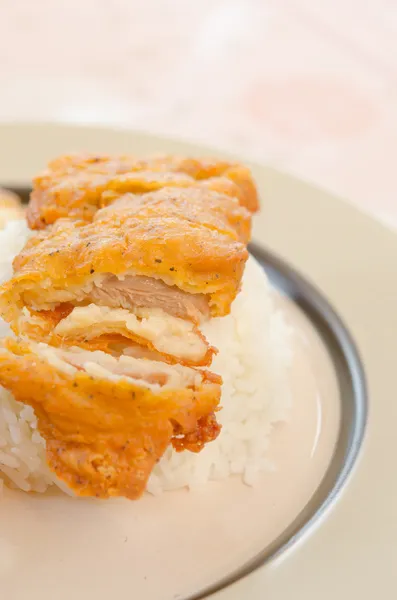 Rice and chicken fried — Stock Photo, Image