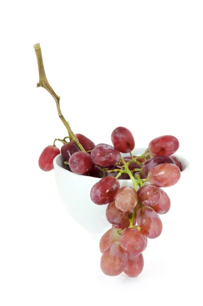 Traubenfrüchte — Stockfoto
