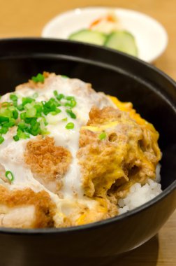 Katsudon