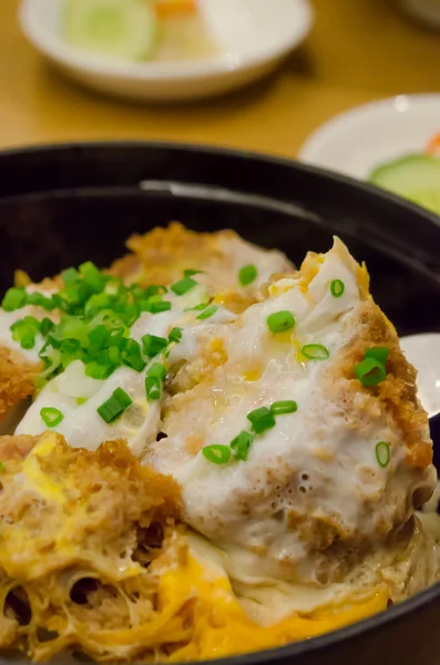 Katsudon v misce — Stock fotografie