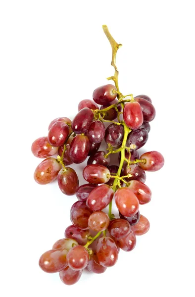ताजे द्राक्ष — स्टॉक फोटो, इमेज