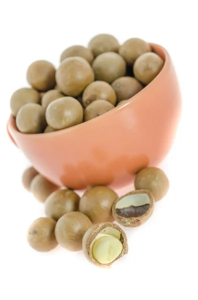 Nuez de macadamia — Foto de Stock