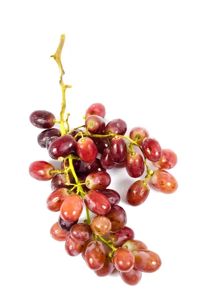 Druiven over Wit — Stockfoto