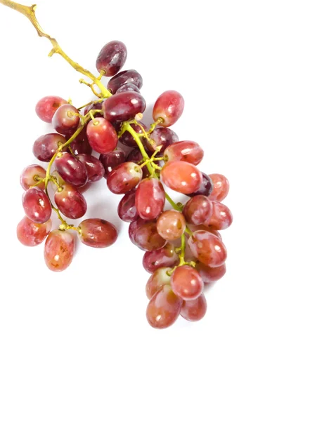 Modne røde druer - Stock-foto