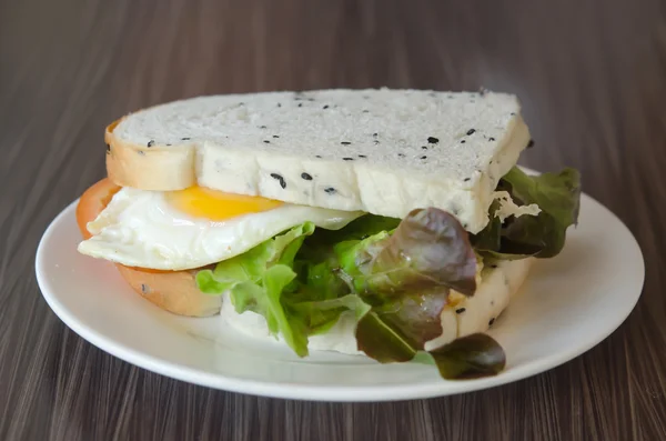 Sandwich auf Teller — Stockfoto