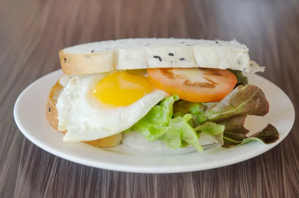 Sandwich på skålen — Stockfoto