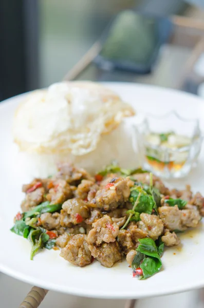 Asiatische Mahlzeit, würziges Essen — Stockfoto