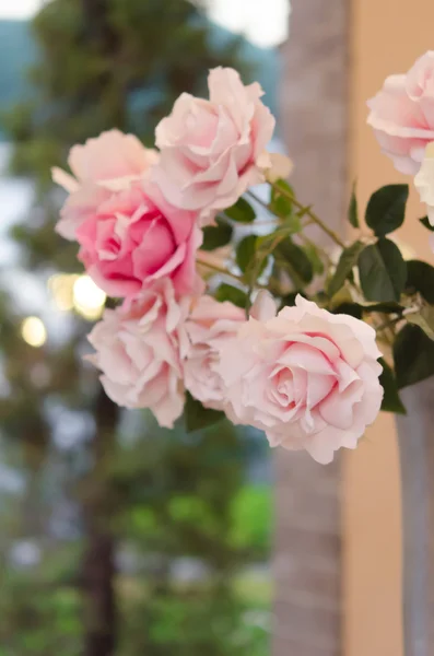 Plastikowe róża różowy — Zdjęcie stockowe