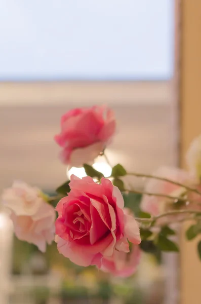 Plastové růže — Stock fotografie