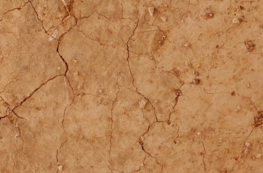 kahverengi kırık dünya