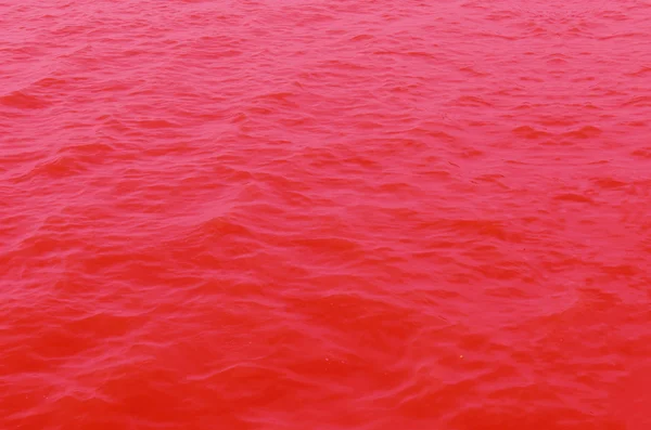 Red water surface — Stock Photo, Image