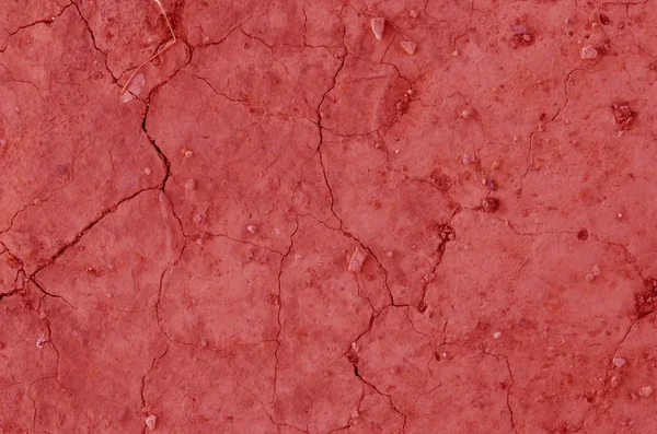 Red cracked earth — Stock Photo, Image