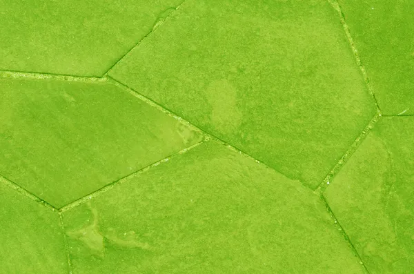 Linee marciapiede di cemento verde — Foto Stock