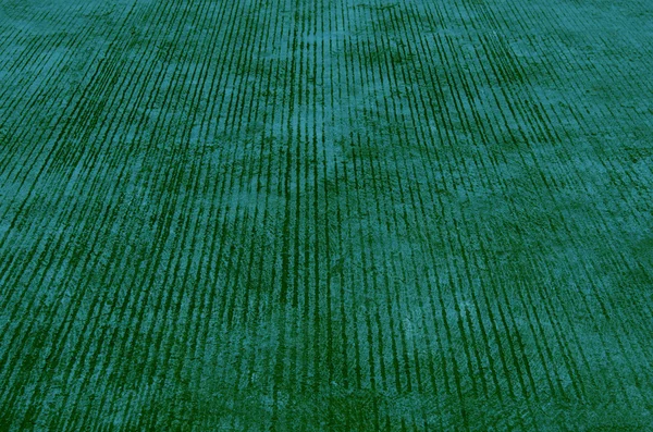 Marciapiede verde — Foto Stock