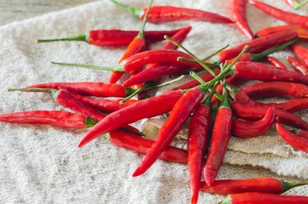 Peperoncino rosso — Foto Stock