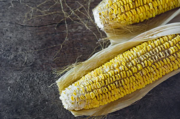 Dried corn — Stock Photo, Image