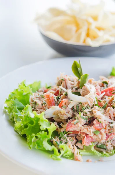 Insalata di tonno piccante — Foto Stock