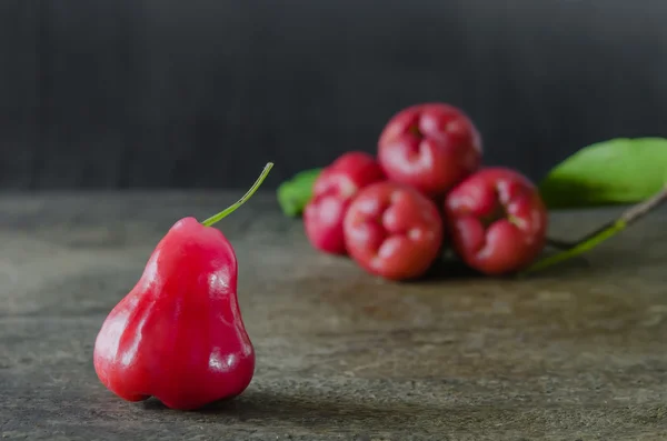 Rosa manzana — Foto de Stock