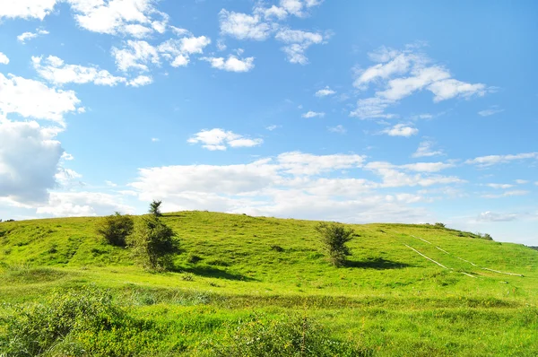 Windows Xp — стоковое фото