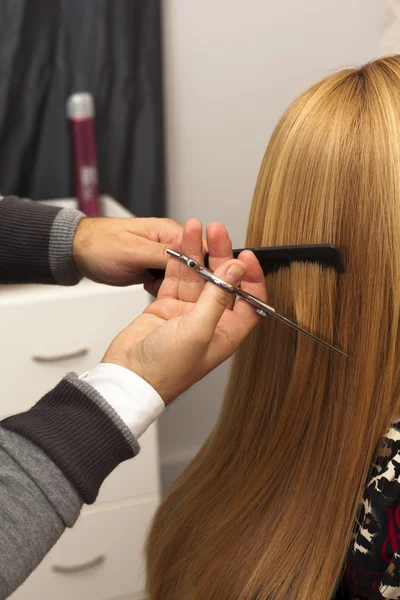 Hairdresser with long hair model — Stock Photo, Image