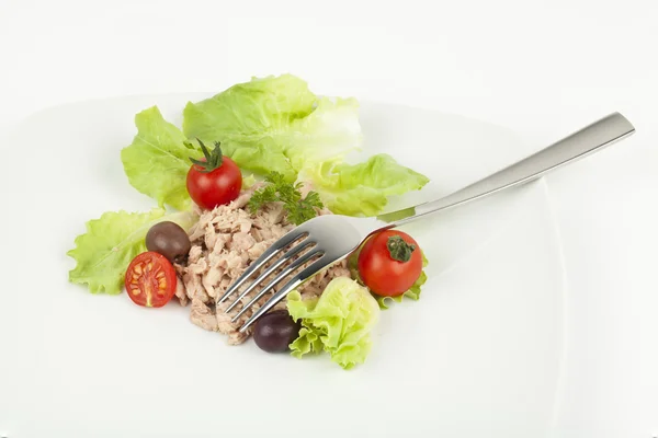 Tuna meal — Stock Photo, Image