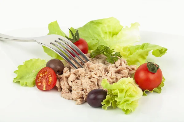 Tuna meal — Stock Photo, Image