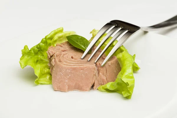 Canned tuna chunks — Stock Photo, Image