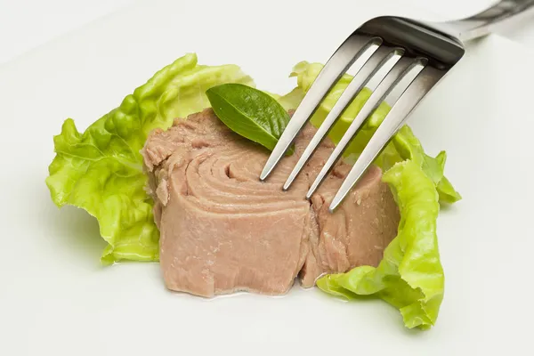 Canned tuna chunks — Stock Photo, Image