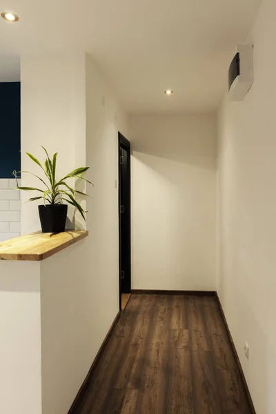 Hallway Small Apartment Wooden Bar — Stock Photo, Image