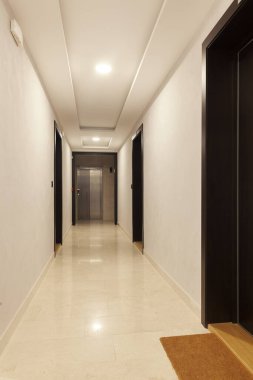 hallway in a modern residential building with door