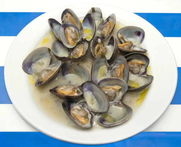 Kokt mussla — Stockfoto