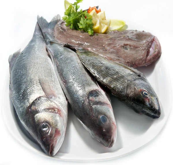 Urval av färsk rå fisk — Stockfoto