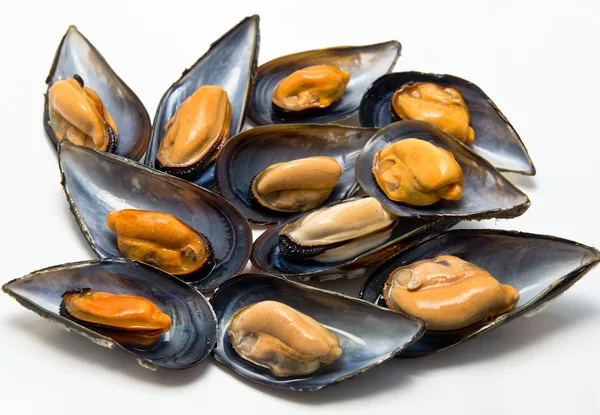 Mejillones al vapor — Foto de Stock