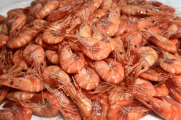 Shrimps — Stock Photo, Image