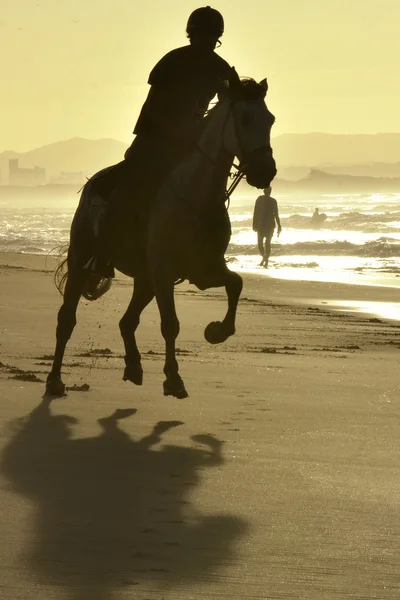Jóvenes y su caballo galopan a lo largo de la playa — Foto de Stock