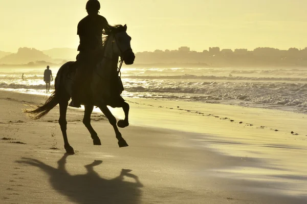 Young men and her horse gallop along the beach — Stock Photo, Image