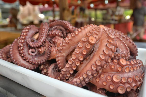 Pulpo cocido —  Fotos de Stock