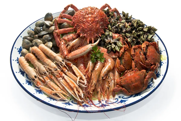 Fresh seafood — Stock Photo, Image