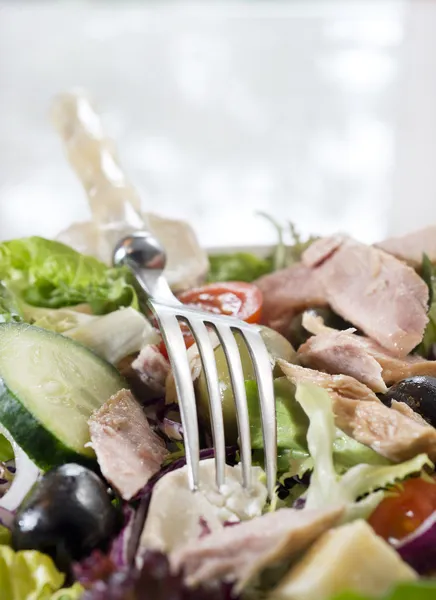 Salade met vork — Stockfoto