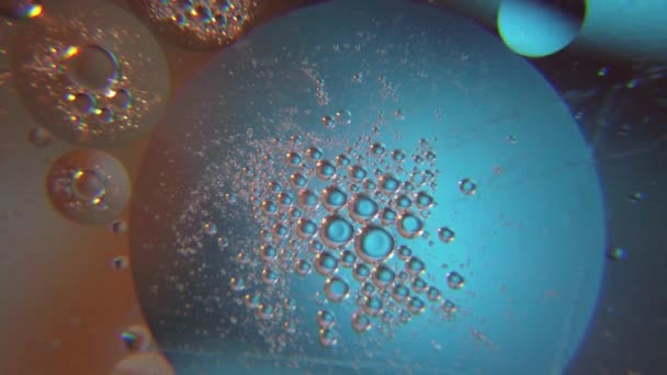 Oil Bubbles Water Space Looking Macro Shot High Quality Footage — Stockvideo